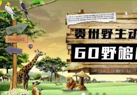 2023贵州森林野生动物园门票多少钱？(开放时间+地址+游玩攻略)