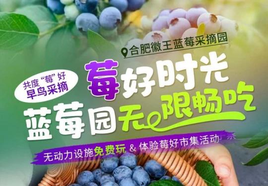 合肥徽王蓝莓采摘园预约(门票价格、免费政策、游玩项目)