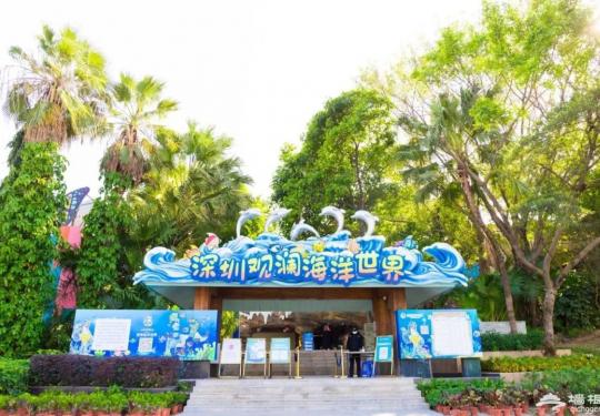2023深圳观澜海洋世界门票价格及游玩攻略(附表演时间表)