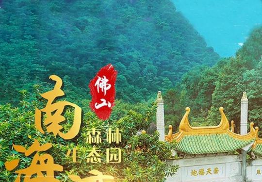 南海湾森林生态园价格/在线预订/团购