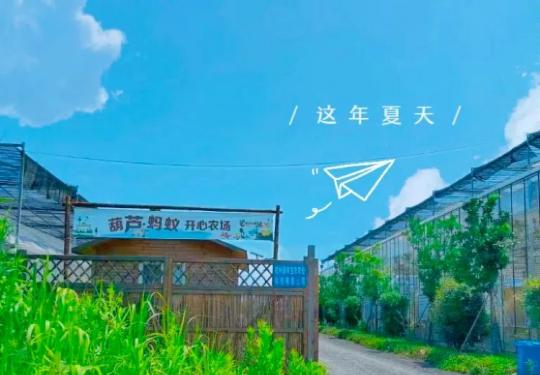 杭州西湖葫芦蚂蚁开心农场开园时间+地址+游乐设施+门票价格