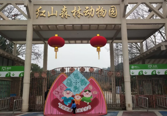 2023红山森林动物园门票价格及景点介绍(附购票入口+优惠政策)