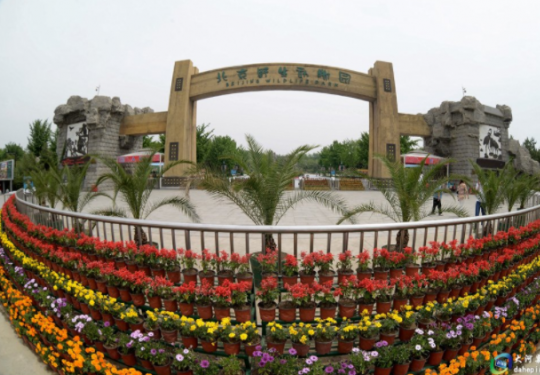 2023北京野生动物园攻略详情(门票+地点+免费政策+交通指南)