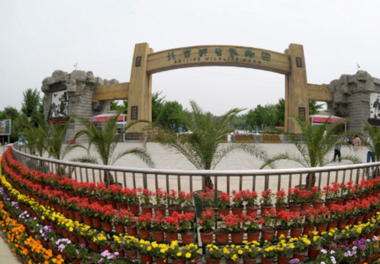2024北京野生动物园门票价格及购票入口（附春季游玩攻略）