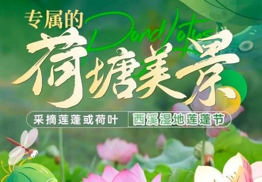 杭州西溪湿地莲蓬节门票多少钱？(开放时间+地址+游玩攻略)