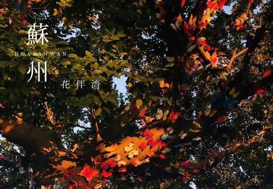 江南花伴湾门票价格、游玩攻略、门票预定、交通指南