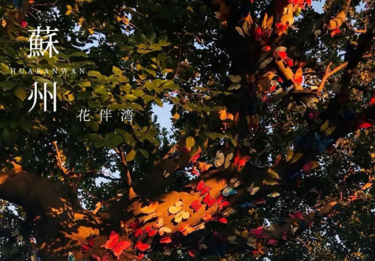 江南花伴湾门票价格/游玩项目/购票网址