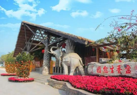 2024高明盈香生态园攻略(门票价格、开放时间、游玩项目)