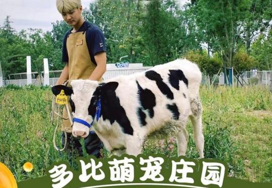 西安多比萌宠庄园门票预订（票价+景点+项目+营业时间）