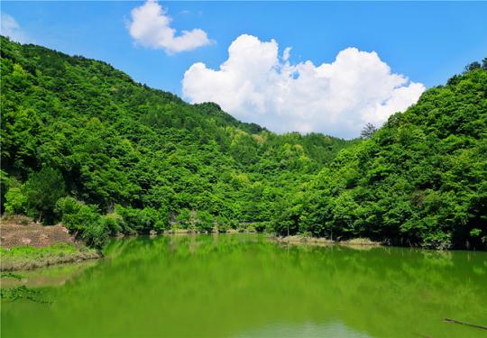 2024桃花冲漂流门票多少钱（附购票入口+游玩介绍）