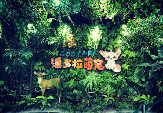 郑州潘多拉萌宠乐园游玩攻略（门票+开放时间+游玩项目）一览