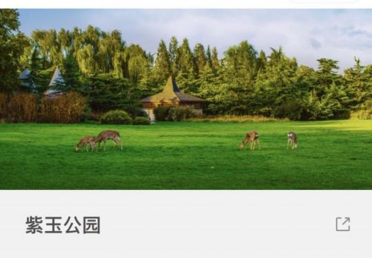 北京紫玉公园在哪里预约？