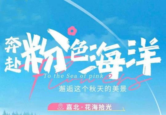 嘉北郊野公园花海拾光怎么购票（开放时间+门票价格+在线预定）