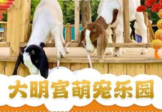 西安大明宫萌宠乐园门票价格+开放时间+游玩攻略