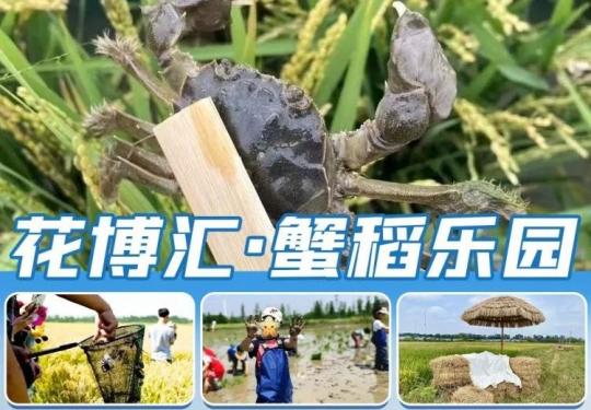 武汉蟹稻乐园最新价目表及优惠政策（附购票入口）