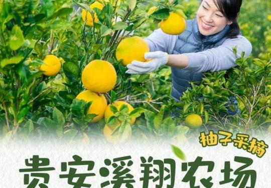 福州溪翔家庭农场攻略(门票+时间+地址+景点+项目+预订)一览