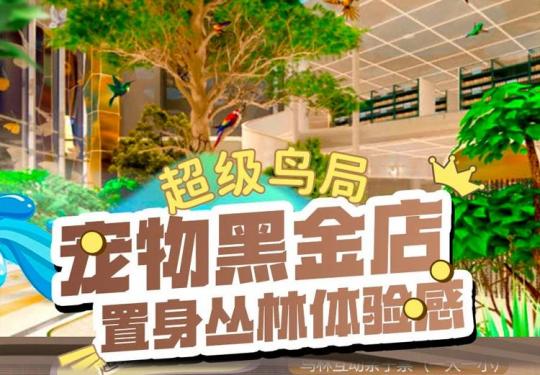 福州超级鸟局开放时间、门票价格、游玩攻略及项目介绍