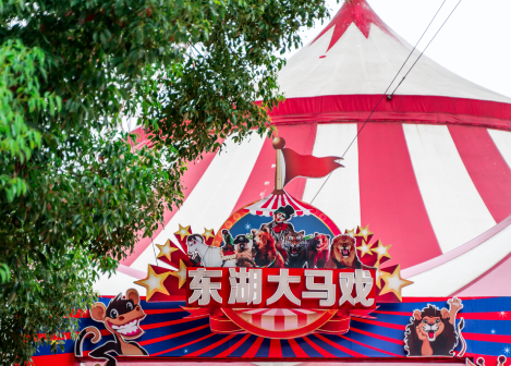 2024武汉东湖大马戏演出时间表+门票+节目单
