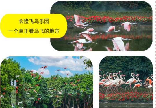 2024广东旅游年卡购买入口+景点介绍+激活指南+使用规则