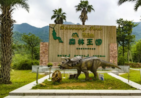 南丹山森林王国好玩吗?门票多少钱?附项目亮点、门票优惠政策