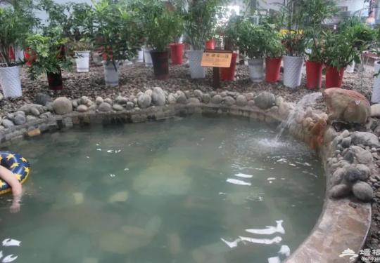 2024蓝波湾温泉水世界门票价格及优惠政策(附游玩攻略)