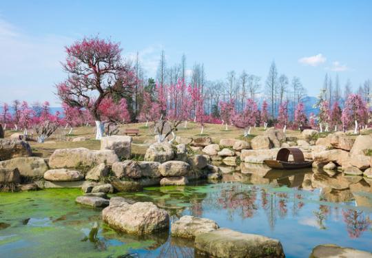 2024问花村门票价格+优惠政策+游玩介绍+赏花花