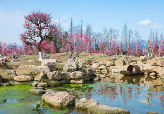 2024问花村门票价格+优惠政策+景点介绍