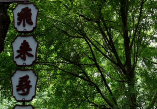 2024杭州灵隐飞来峰景区门票价格表(附景点介绍+预约+交通路线)