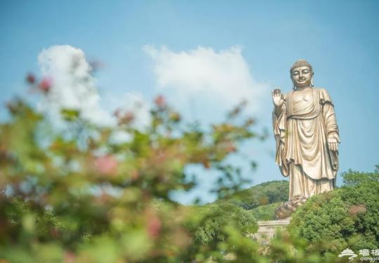 无锡灵山胜境景区门票多少钱?灵山景区什么时候开放时间?