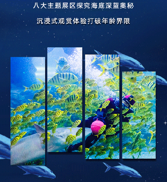青岛海底世界寒假游玩攻略（门票+活动详情+开放时间）信息一览