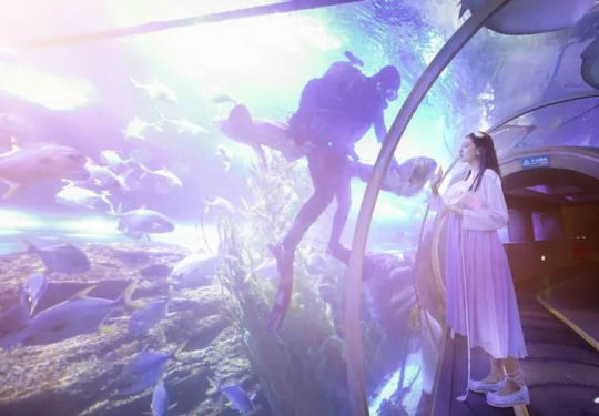 青岛海底世界好玩吗？（开放时间+票价+游玩项目）