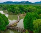 苏州太湖国家湿地公园，展现自然的水上田园