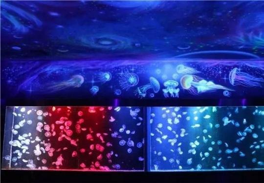 2022锦艺城海洋馆表演时间最新（时间安排+场次+节目单）