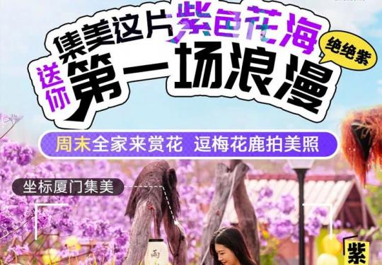 2024厦门赏花好去处