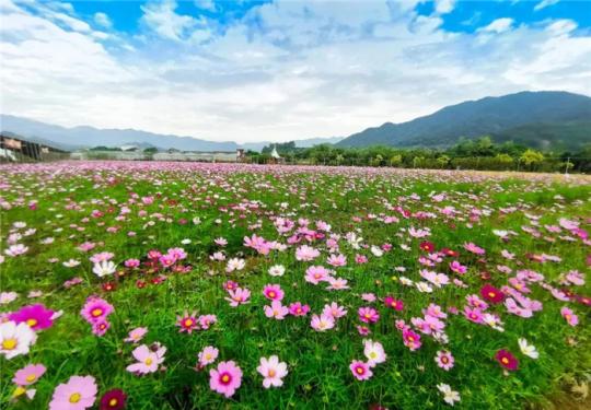 2024厦门丽田园休闲农庄（开门时间+景点+项目+门票信息）