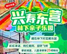 2024昌平兴寿东营林下亲子乐园(营业时间+门票价格+游玩项目)