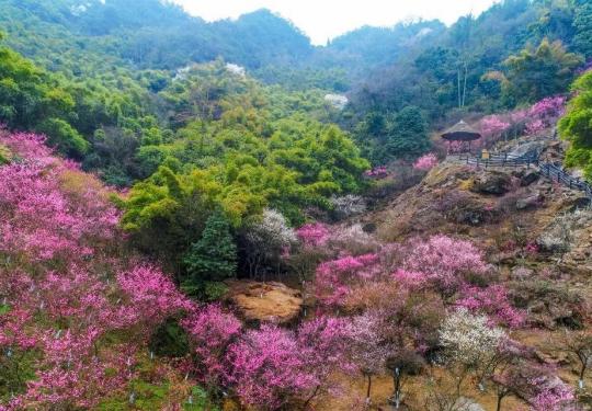 2024丹景山门票多少钱?(附门票价格+优惠政策)