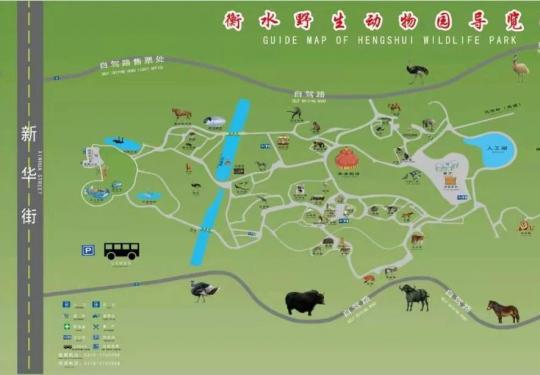2024衡水野生动物园门票价格+优惠政策+演出时间+地址