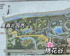 北京奥森公园桃花谷从哪个门进去最近?