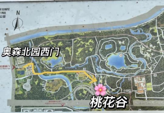 北京奥森公园桃花谷从哪个门进去最近?