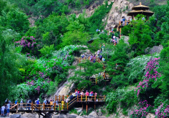 2024济南九如山风景区门票价格+简介+地址+游玩攻略