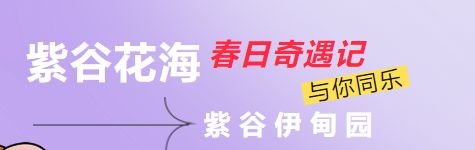 2024北京紫谷伊甸园花海盛宴时间地点门票及交通指南