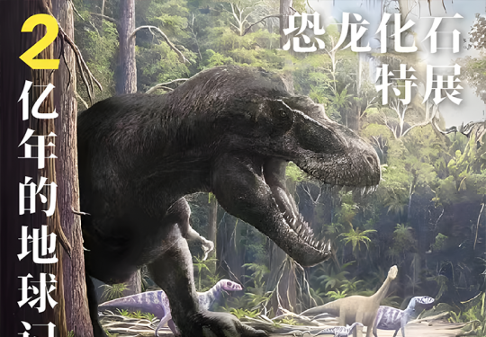 2024北京798遇见博物馆2亿年的地球记忆恐龙化石特展(时间安排+门票价格+演出介绍+观展攻略)