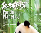 【朝阳区·杜威中心】萌翻了!熊猫星球沉浸式光影大展北京站早鸟票限时抢！