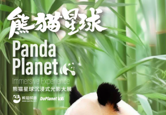 【朝阳区·杜威中心】萌翻了!熊猫星球沉浸式光影大展北京站早鸟票限时抢！
