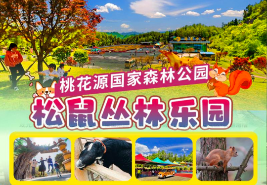 2024重庆酉阳松鼠丛林乐园攻略(地址、票价、门票优惠、游玩项目)