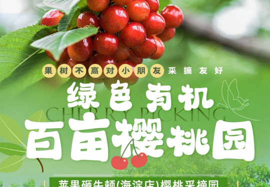 【海淀区·樱桃采摘·苹果砸牛顿】￥198游乐套票，可带走2斤！绿色有机百亩樱桃园，品种多味道好，果树不高小朋友采摘友好，可参观现代化种植温室大棚和景观大棚！