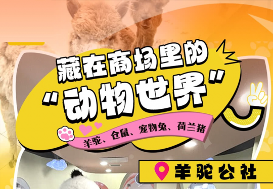 【朝阳/石景山·萌宠乐园】【羊驼公社】北京喜隆多/惠多港店通用！￥59.9/1大1小，含饲料1份，周末节假日通用！看羊驼、仓鼠、宠物兔、荷兰猪…藏在商场里的“动物世界”！