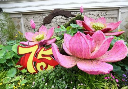 2024上海荷花睡莲展时间+地址+门票+看点