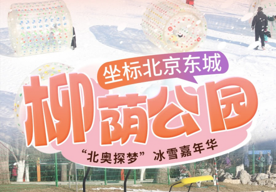 【东城区·柳荫公园·冰雪乐园】【¥30单人门票】柳荫公园“北奥探梦”冰雪嘉年华，坐标北京东城！另有¥99.9单人套票：门票+雪圈+冰滑梯+雪地转转，一定要冲！